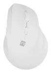 NATEC Crake 2 pelė, universali de&scaron;iniarankiams, belaidė RF pelė + &bdquo;Bluetooth&ldquo; optinė, 2400 DPI