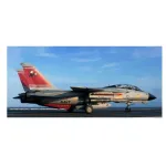 Plastic model F-14D Super Tomcat