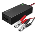 Charger for AGM GEL STD batteries 12V 4A 48W