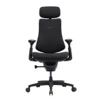 LiberNovo Omni SE 48 cm Ergonomic Chair (Black)