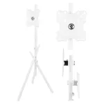 TV floor stand MC-181 W