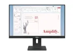 LENOVO ThinkVision E24-40 23,8 colio IPS monitorius