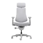 LiberNovo Omni 45 cm Ergonomic Chair (Gray)