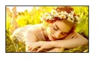 Monitor 65UL5Q-M 500cd/m2 UHD 24/7