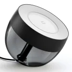 Smart Light Bulb|PHILIPS|8.1 Watts|570 Lumen|Number of bulbs 1|ZigBee|Black|929002376201