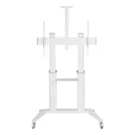 Mobile stand for a TV 70-120 inches 140 kg or an interactive board