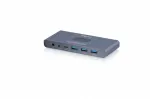KVM switch, 2-port DS-12855