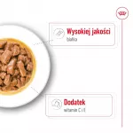 ROYAL CANIN SHN Medium Adult in sauce - drėgnas ėdalas suaugusiems &scaron;unims - 10x140g