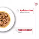 ROYAL CANIN Mini Ageing - &scaron;lapias maistas &scaron;unims - 12 x 85g