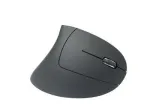 PELĖ USB OPTINIS WRL 6-KLAVI&Scaron;AI/DE&Scaron;INIS JUODAS MROS232 MEDIARANGE