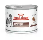 ROYAL CANIN Recovery - &Scaron;lapias maistas &scaron;unims ir katėms - 195g