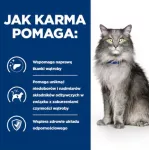HILL'S Prescription Diet Liver Care - sausas kačių maistas - 1,5kg