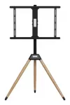 TV RINKINIO PRIEDAI GRINDINIS STOVAS 32-75"/TRIPOD TVS-75ST-01 GEMBIRD