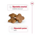ROYAL CANIN Mini Adult +8 - sausas maistas &scaron;unims - 2 kg