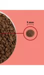 ACANA Highest Protein Indoor Cat - sausas kačių maistas - 4,5kg