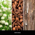 Kvapų difuzorius su lazdelėmis 250 ml WHITE MUSK MILLEFIORI