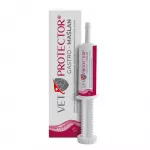 VET PROTECTOR Gastro Butyrate - papildai &scaron;uniui ir katei - 60ml