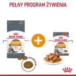Royal Canin Hair & Skin Care Suaugusių sausas kačių maistas 2 kg