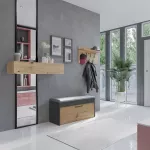 Topeshop PARMA SZAFKA ANT/ART batų dėžė Uždaras Antracitas, Ąžuolas