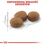 ROYAL CANIN Sterilised - sausas kačių maistas - 4 kg