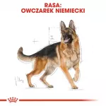 ROYAL CANIN BHN Vokiečių aviganių suaugusių &scaron;unų sausas ėdalas - 11kg