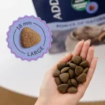 ADDVENA Power of Nature Adult Medium/Large Lamb - sausas maistas &scaron;unims - 10kg
