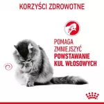 Royal Canin Hairball Care sausas kačių maistas 2 kg