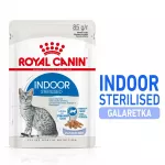 ROYAL CANIN FHN Indoor jelly - drėgnas ėdalas suaugusioms katėms - 12x85g