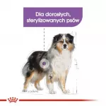ROYAL CANIN CCN Medium Sterilised Adult - sausas maistas &scaron;unims - 12 kg