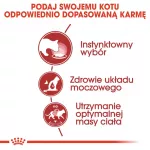 ROYAL CANIN FHN Instinctive - drėgnas pa&scaron;tetas suaugusioms katėms - 12x 85g