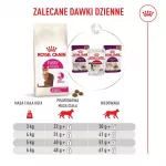 ROYAL CANIN Exigent Fussy - sausas kačių maistas - 4kg