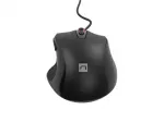NATEC PELĖ PIGEON 2 4000DPI JUODA