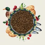 EDEN Antiena ir Sardinė - sausas kačių maistas - 1,5 kg
