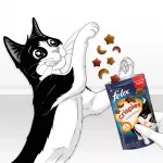 FELIX Crispies Beef, Chicken - sausas kačių ėdalas - 45 g