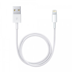 Apple 1 metro Lightning - USB kabelis - MUQW3ZM/A