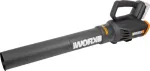 Worx lapų pūstuvas WG547E.9
