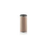 Antrinis oro filtras MANN-FILTER CF 2100/1