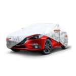 UŽDANGALAS AUTOMOBILIUI L DYDŽIO SIDABRO SPALVOS (01111) TURIME 1 VNT