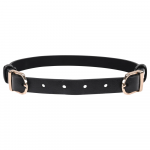 Sportsheets S&M Double Buckle Day Collar Black Adjustable Gold Detail