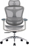 Fotel biurowy Sihoo DORO C300L Mesh White | DORO-C300L-A3-102 | 4820216978117