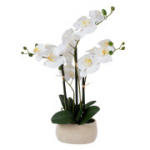 Balta orchidėja su 4 &scaron;akomis SODE, auk&scaron;tis 55 cm, pilkas vazonas