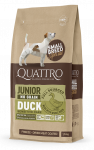 Quattro Small Breed Junior sausas begrūdis maistas &scaron;unims su antiena : Sauso maisto pakuotės - 7kg