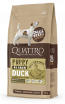 Quattro small breed Puppy & Mother care sausas begrūdis maistas &scaron;unims su antiena : Sauso maisto pakuotės - 1.5 kg