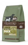 Quattro all breed junior sausas begrūdis maistas &scaron;unims su antiena : Sauso maisto pakuotės - 12 kg