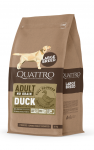 Quattro large breed adult sausas begrūdis maistas &scaron;unims su antiena : Sauso maisto pakuotės - 3 kg