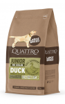 Quattro large breed junior sausas begrūdis maistas &scaron;unims su antiena : Sauso maisto pakuotės - 3 kg