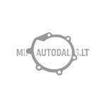 Vandens siurblio tarpiklis Casalini Mitsubishi L2E / L2C