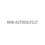 Priekinis stiklas Microcar M8