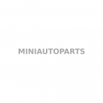 Dyzelino filtras lombardini cdi Ligier JS50 / IXO / X-Too R / JSRC