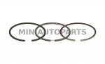 Standartinės mitsubishi variklio juostos - cc538 + 0.50 Casalini Ydea / M10 / M12 / Sulky